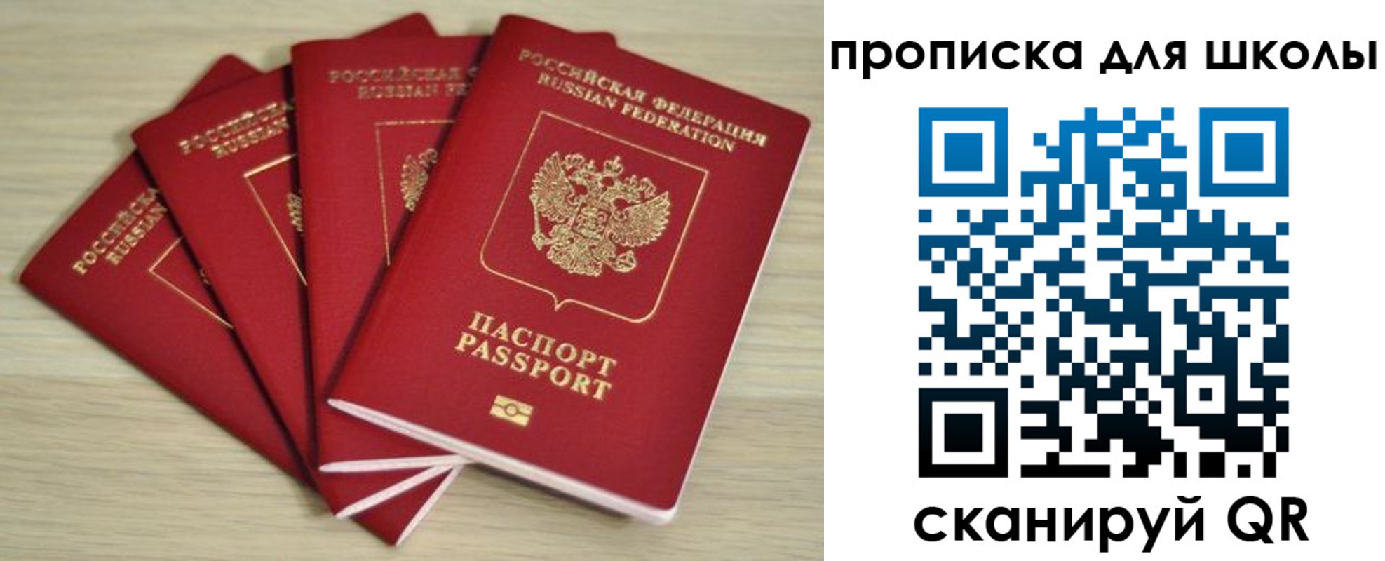 прописка поиск в Волгограде